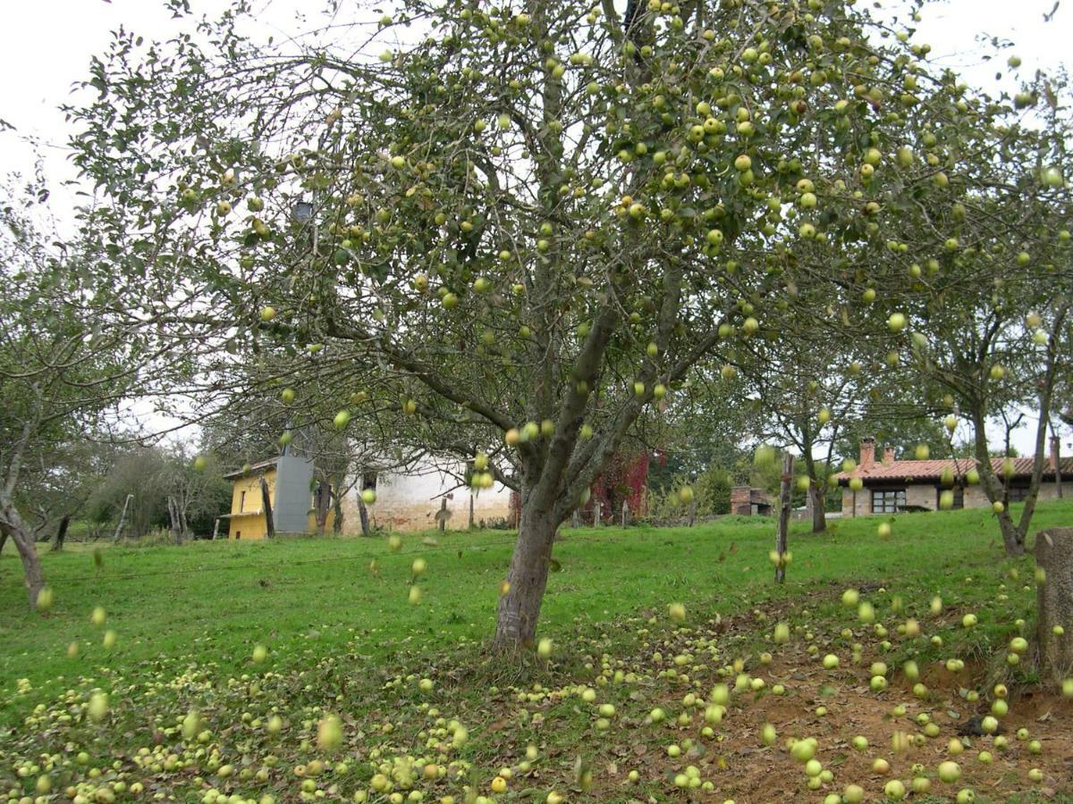 בית הארחה Piloña 	Turismo Rural El Sidron מראה חיצוני תמונה